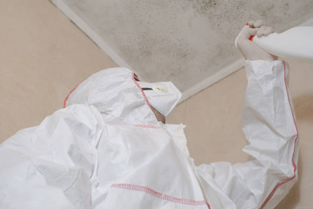 Best Residential Mold Remediation in Le Grand, CA