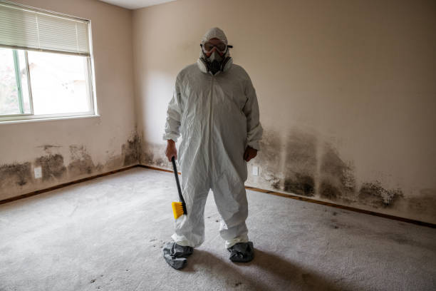 Best White Mold Remediation in Le Grand, CA